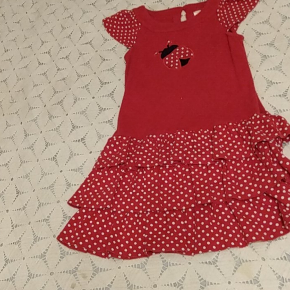 Ladybug dress